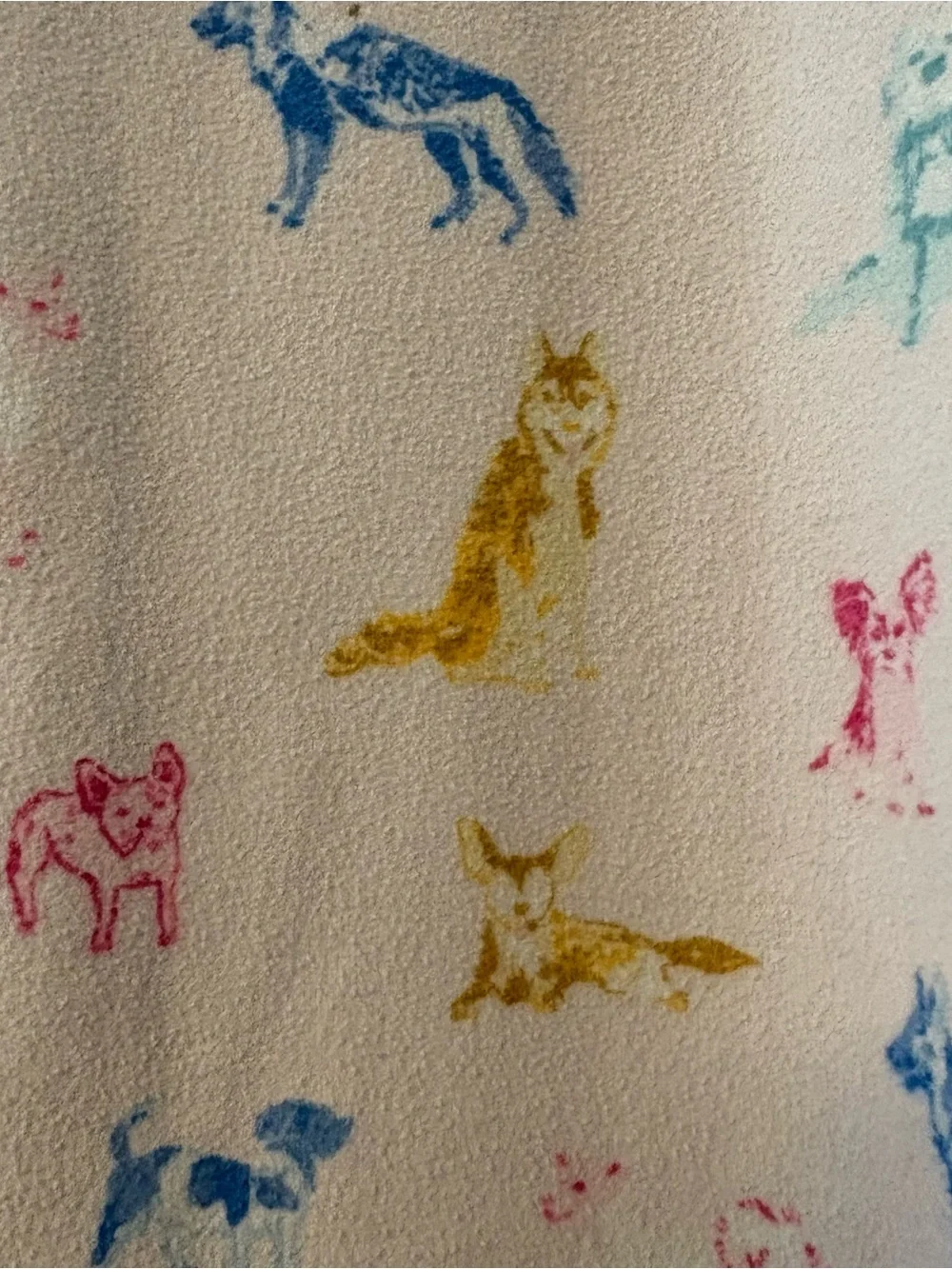 SweetHoney multicolored dog